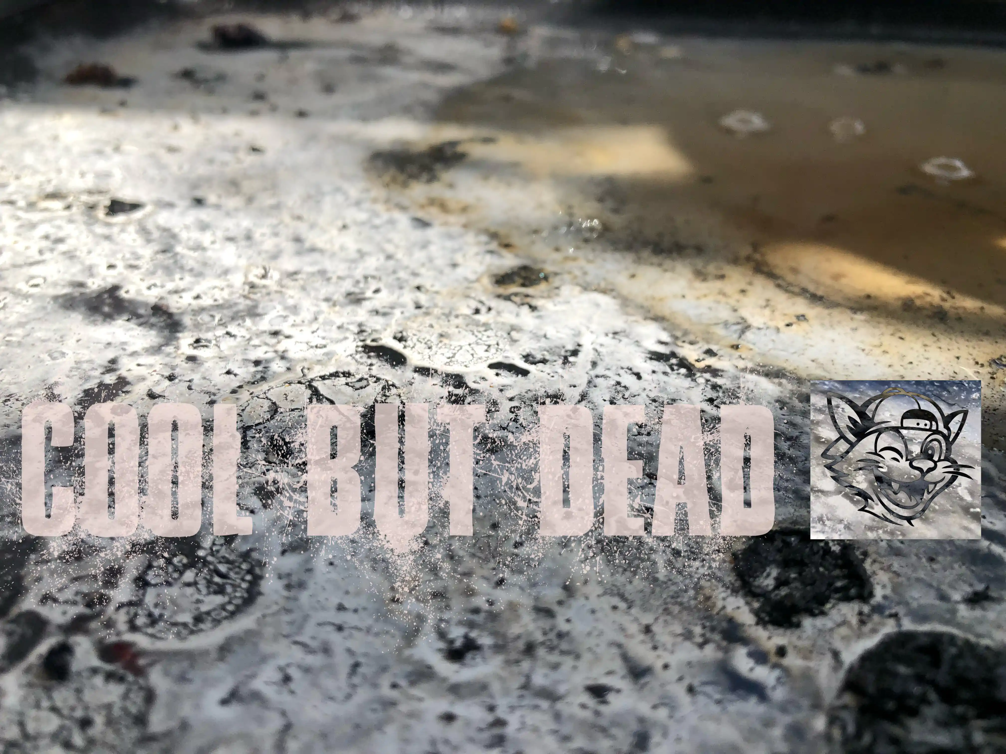 Shattered Earth artwork